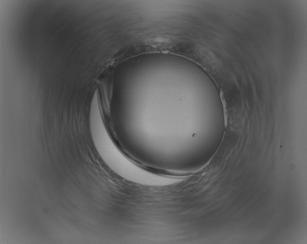 X0000073471298200608181320