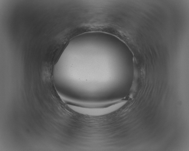 X0000073471300200608181320