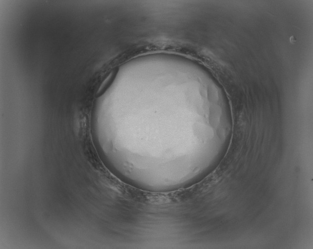 X0000073471302200608181320