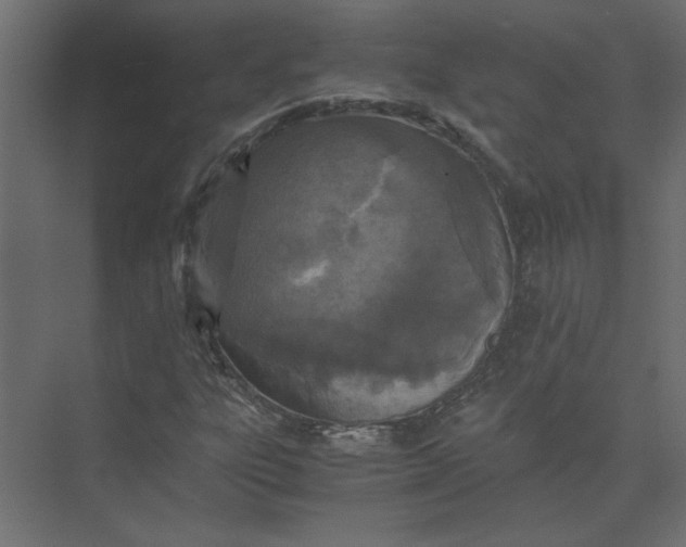 X0000073471303200608181320