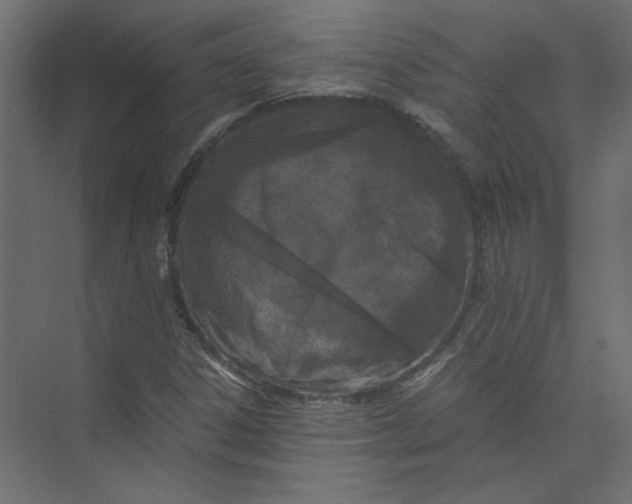 X0000073471306200608181321