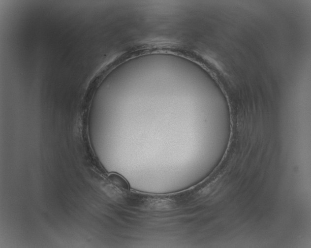 X0000073471309200608181321