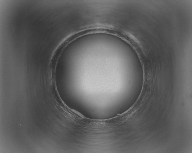 X0000073471310200608181321