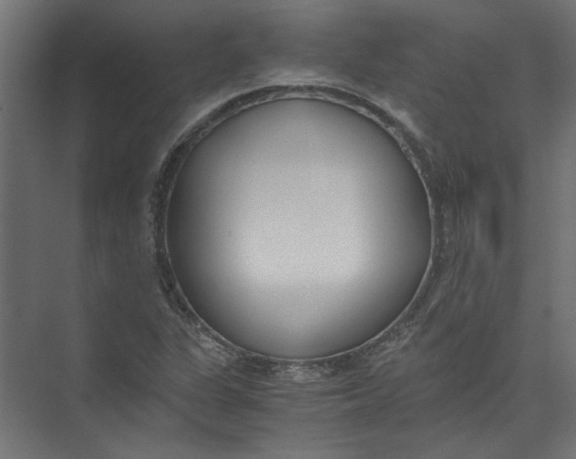 X0000073471311200608181321