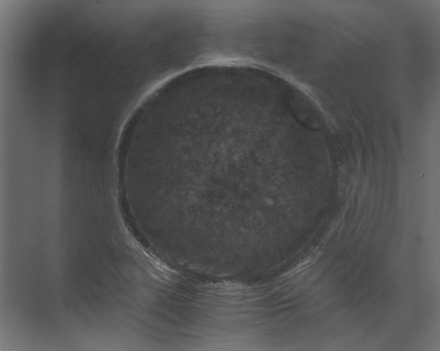 X0000073471319200608181321