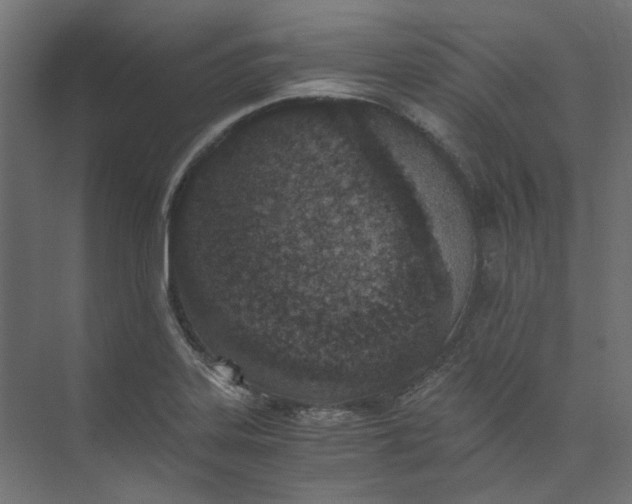 X0000073471323200608181321