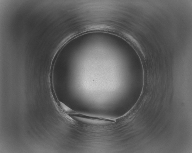 X0000073471330200608181321