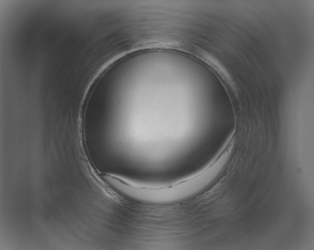 X0000073471332200608181321