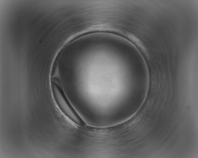 X0000073471334200608181321