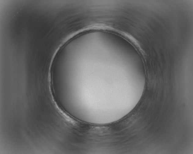 X0000073471335200608181321