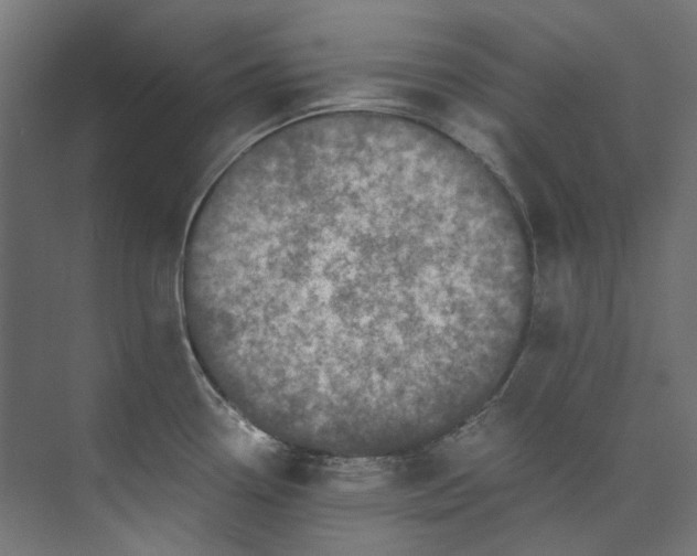 X0000073471338200608181321