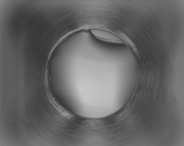 X0000073471340200608181321