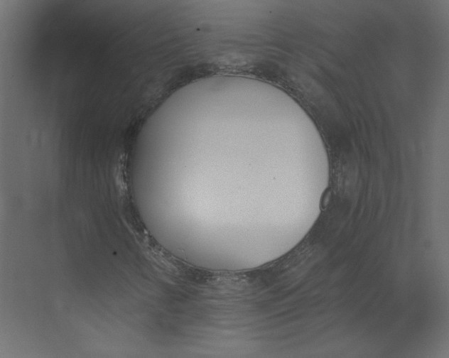 X0000073471346200608181320