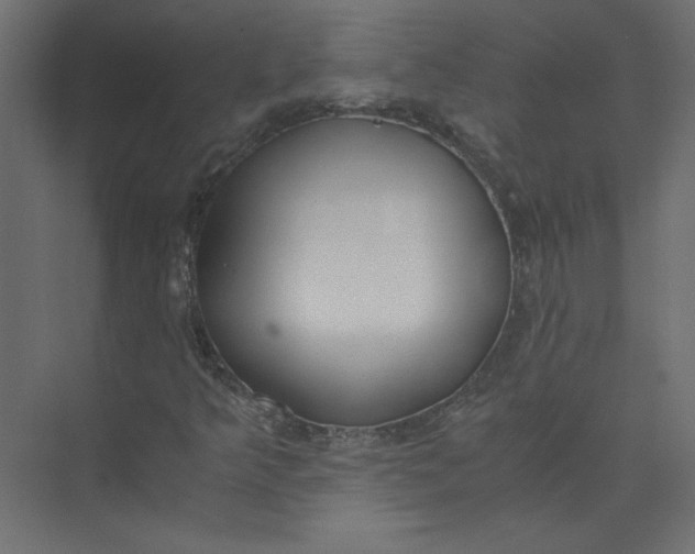 X0000073471349200608181320