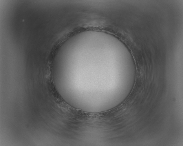 X0000073471350200608181320