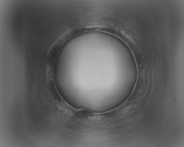 X0000073471351200608181320