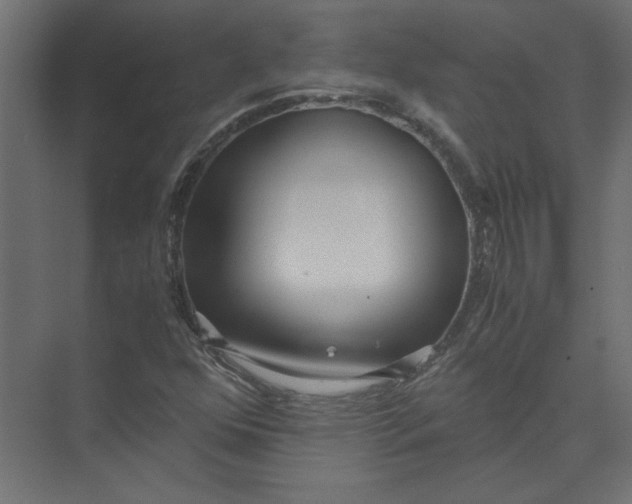 X0000073471352200608181320