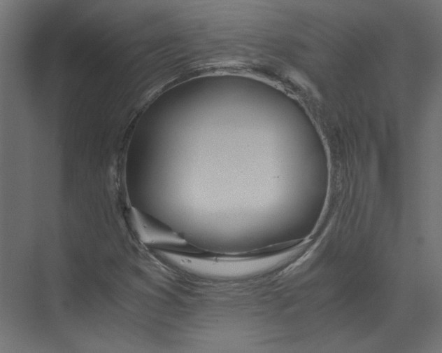 X0000073471353200608181320