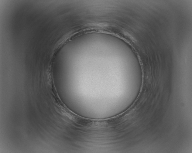 X0000073471354200608181320