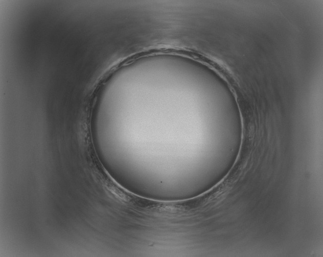 X0000073471359200608181320