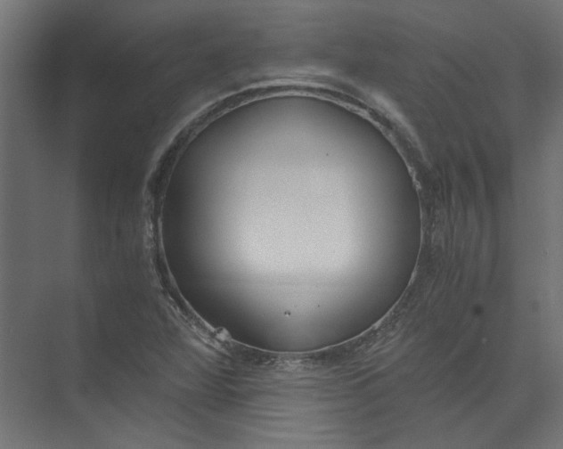 X0000073471360200608181320