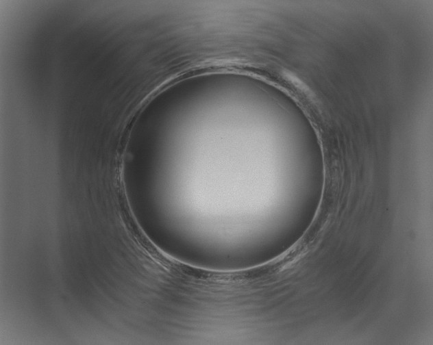 X0000073471361200608181320