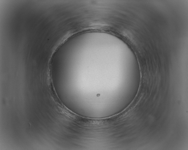 X0000073471362200608181320