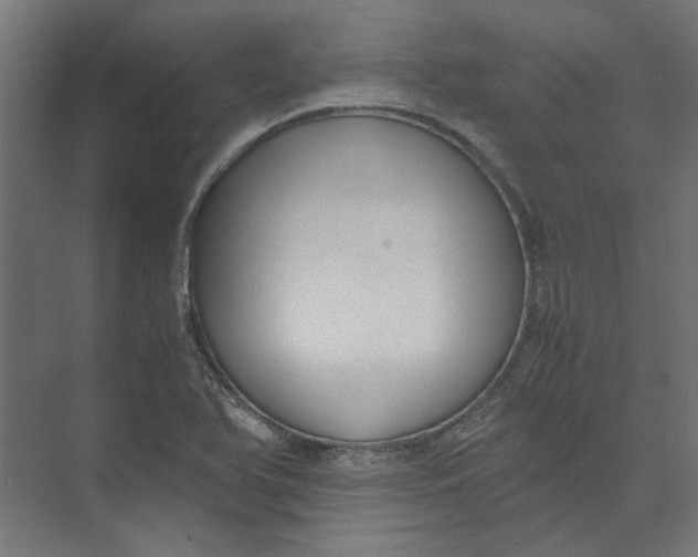 X0000073471366200608181320