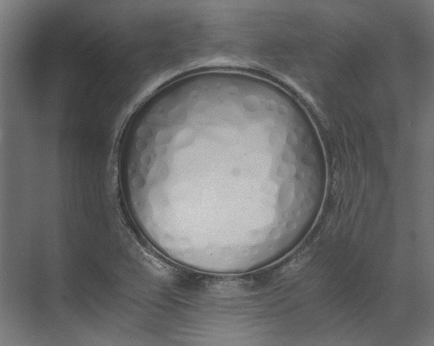 X0000073471367200608181320