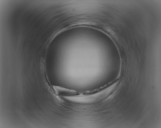 X0000073471369200608181320