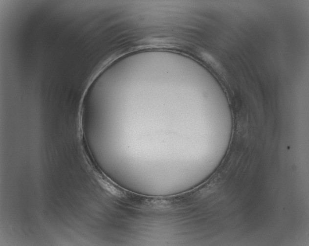 X0000073471370200608181320