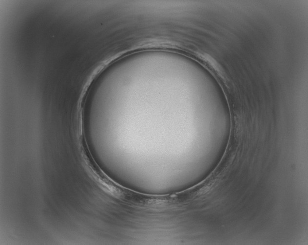 X0000073471371200608181320