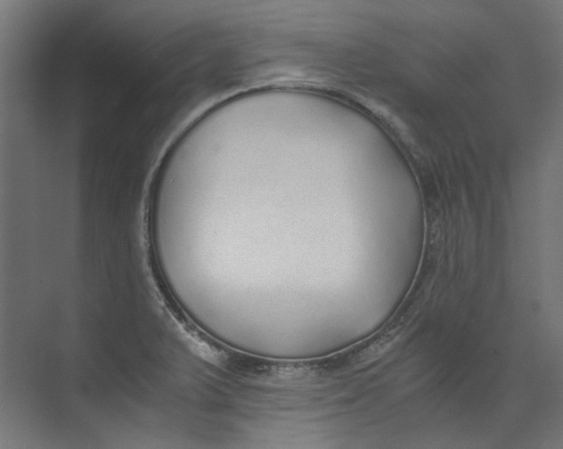 X0000073471375200608181320