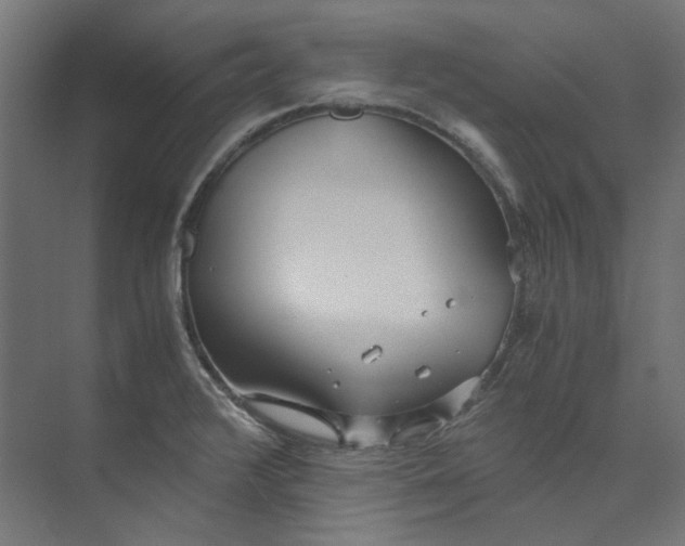 X0000073471376200608181320