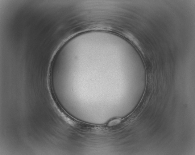 X0000073471379200608181320