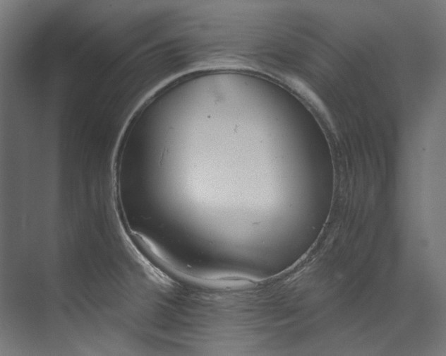 X0000073471380200608181320