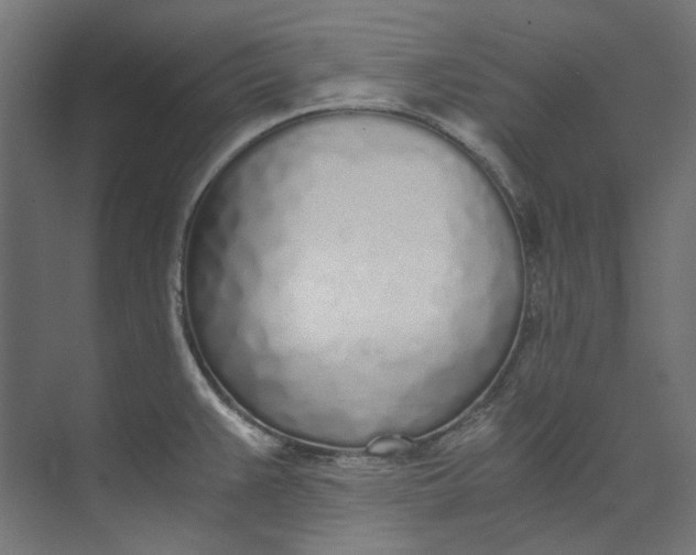 X0000073471383200608181320