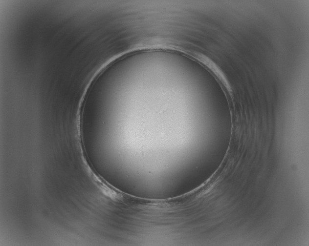 X0000073471388200608181320