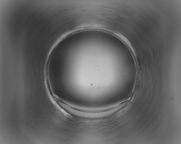 X0000073471389200608181320