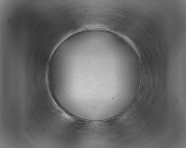 X0000073471390200608181320