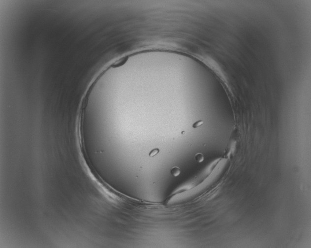 X0000073471391200608181320