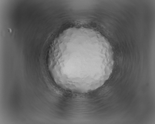 X0000073471393200608181319