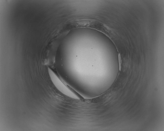 X0000073471394200608181319