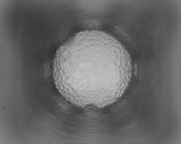 X0000073471395200608181319