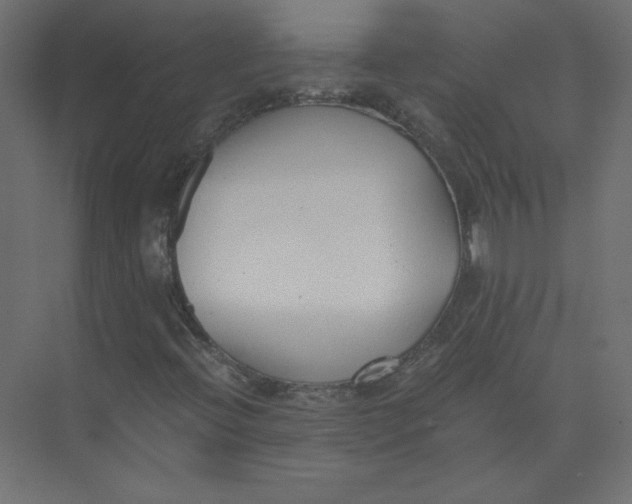 X0000073471396200608181319