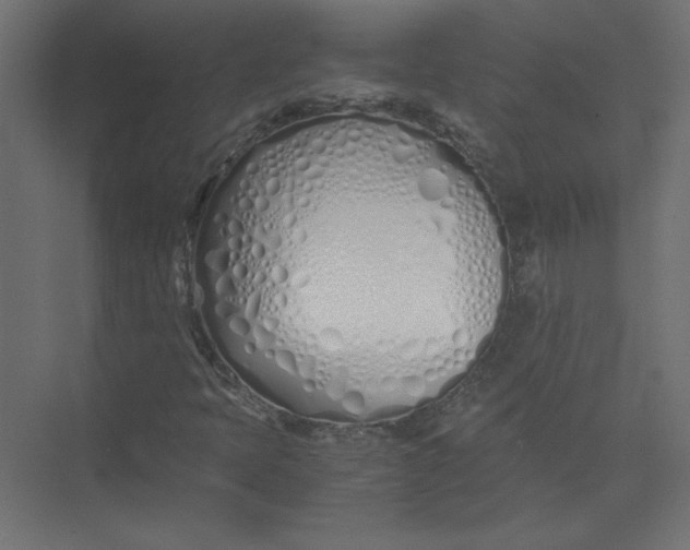 X0000073471397200608181319