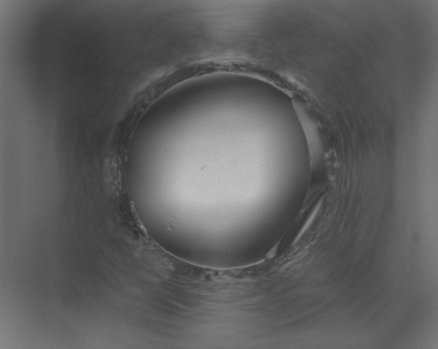 X0000073471398200608181319