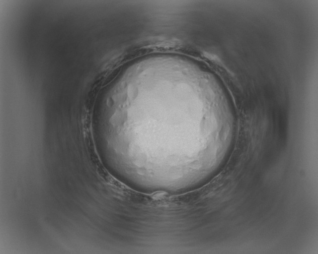 X0000073471399200608181319