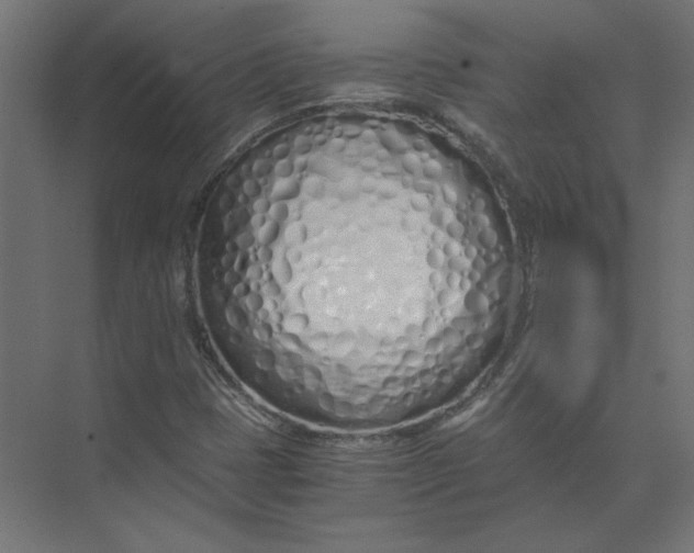 X0000073471401200608181319