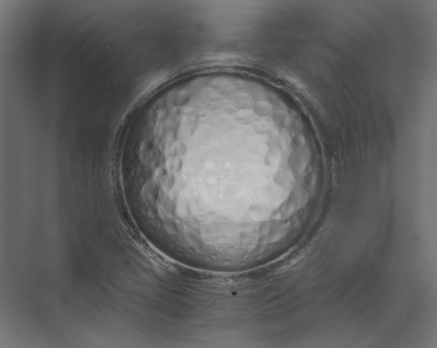 X0000073471405200608181319